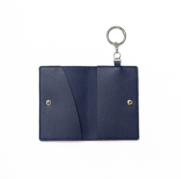 Passport Keyring